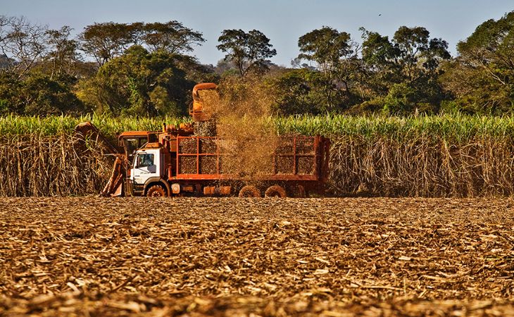 Biocombustíveis: PL combustível do <br>futuro coloca Brasil em destaque global, dizem entidades